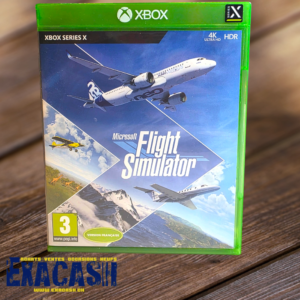 Microsoft Flight Simulator